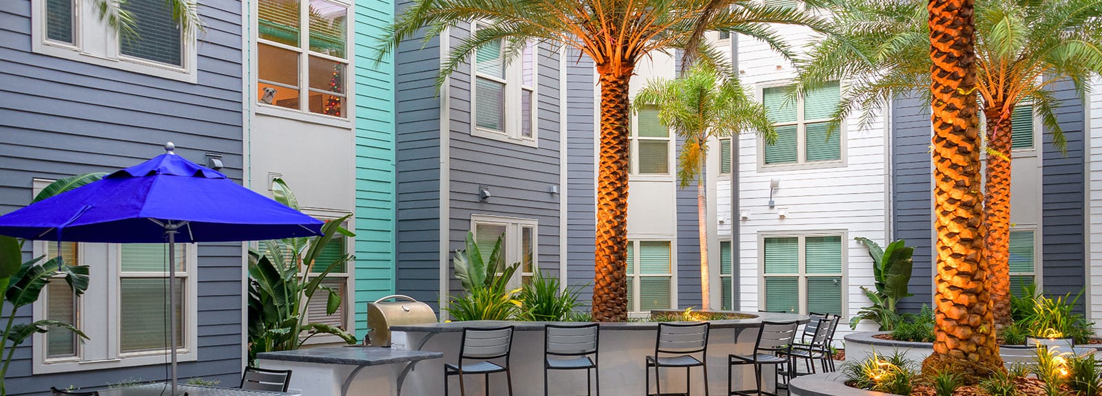 Features Of Apartments Near USF | The Standard at Tampa
